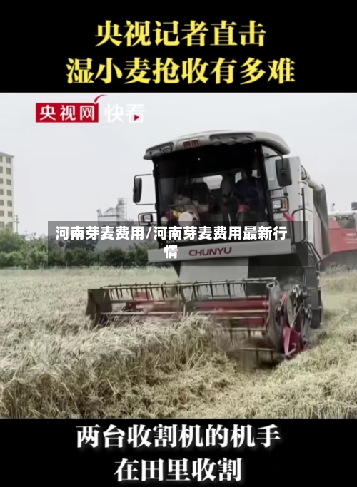 河南芽麦费用/河南芽麦费用最新行情-第2张图片