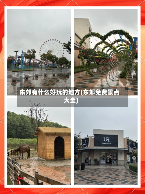 东郊有什么好玩的地方(东郊免费景点大全)-第2张图片