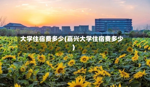 大学住宿费多少(嘉兴大学住宿费多少)