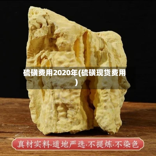 硫磺费用2020年(硫磺现货费用)