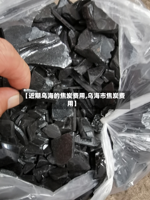 【近期乌海的焦炭费用,乌海市焦炭费用】-第2张图片