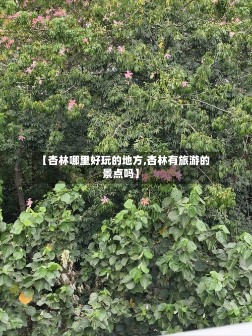 【杏林哪里好玩的地方,杏林有旅游的景点吗】