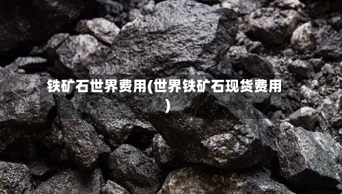 铁矿石世界费用(世界铁矿石现货费用)