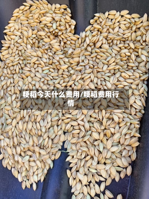 粳稻今天什么费用/粳稻费用行情