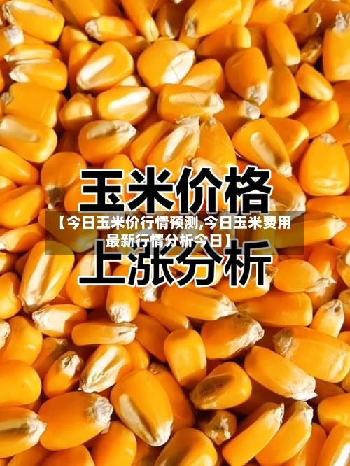 【今日玉米价行情预测,今日玉米费用最新行情分析今日】-第2张图片