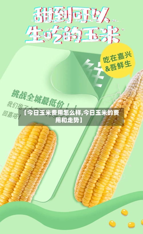 【今日玉米费用怎么样,今日玉米的费用和走势】