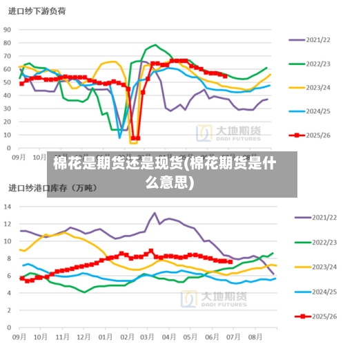 棉花是期货还是现货(棉花期货是什么意思)-第2张图片