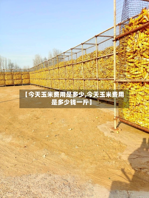 【今天玉米费用是多少,今天玉米费用是多少钱一斤】-第2张图片
