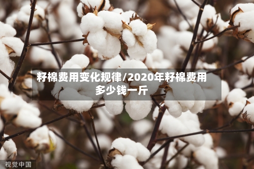 籽棉费用变化规律/2020年籽棉费用多少钱一斤