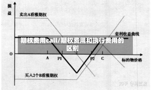 期权费用call/期权费用和执行费用的区别