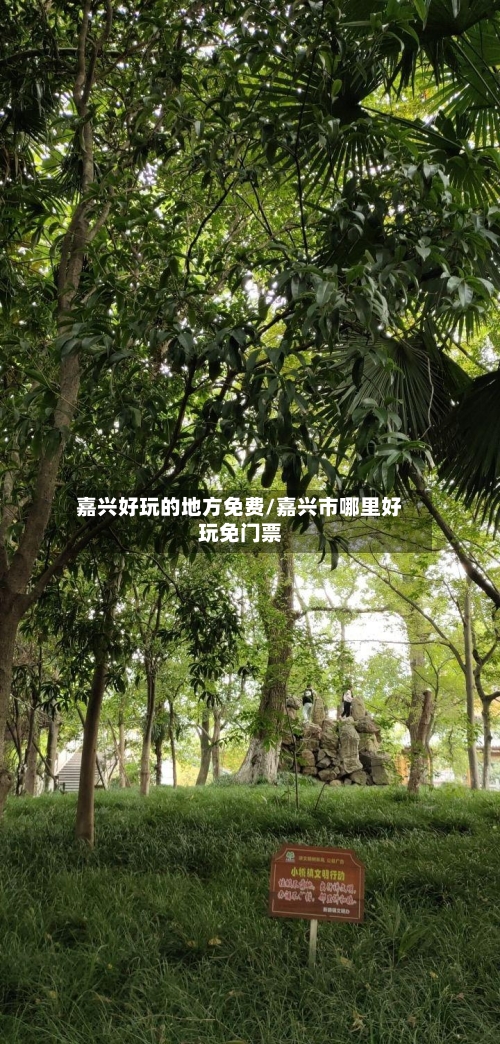 嘉兴好玩的地方免费/嘉兴市哪里好玩免门票-第3张图片