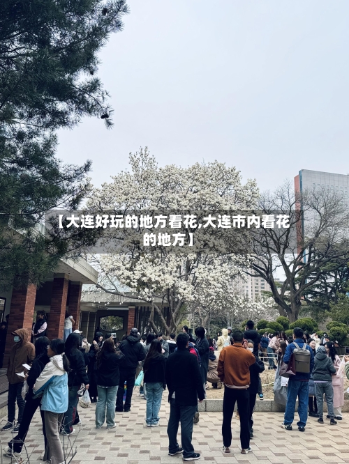【大连好玩的地方看花,大连市内看花的地方】-第3张图片