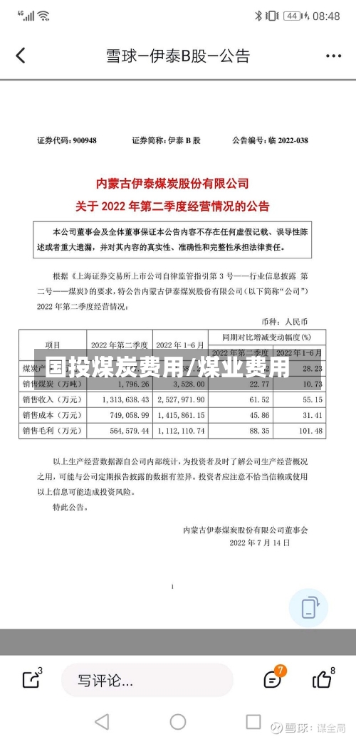 国投煤炭费用/煤业费用-第3张图片