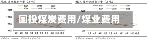国投煤炭费用/煤业费用-第2张图片