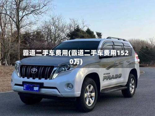 霸道二手车费用(霸道二手车费用1520万)-第2张图片