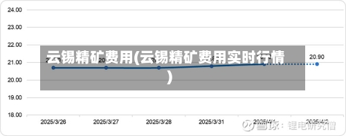 云锡精矿费用(云锡精矿费用实时行情)
