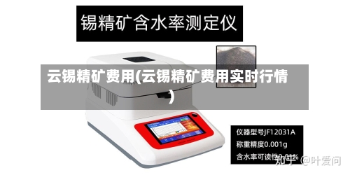 云锡精矿费用(云锡精矿费用实时行情)-第2张图片
