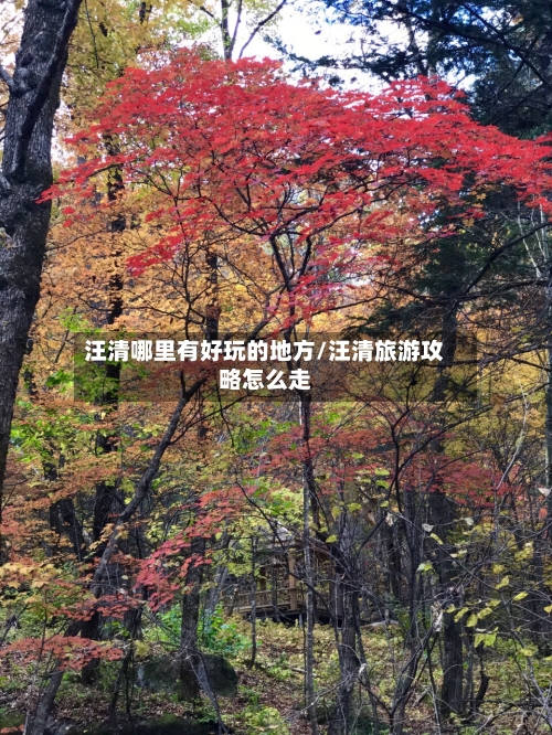 汪清哪里有好玩的地方/汪清旅游攻略怎么走-第2张图片