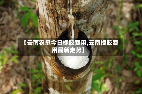 【云南农垦今日橡胶费用,云南橡胶费用最新走势】-第2张图片