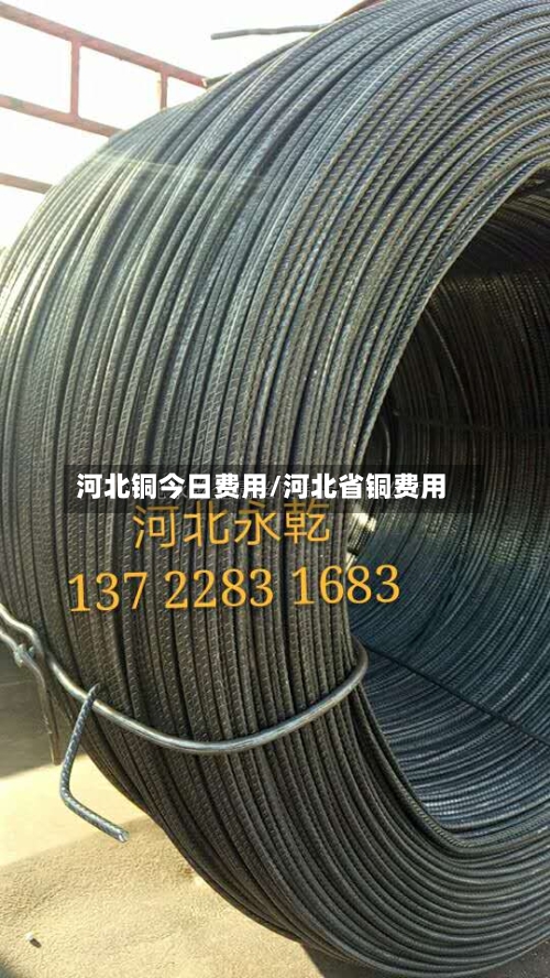 河北铜今日费用/河北省铜费用