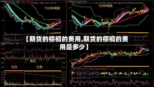 【期货的棕榈的费用,期货的棕榈的费用是多少】