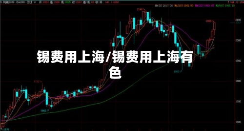 锡费用上海/锡费用上海有色