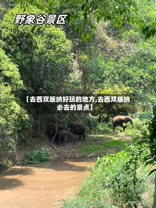 【去西双版纳好玩的地方,去西双版纳必去的景点】