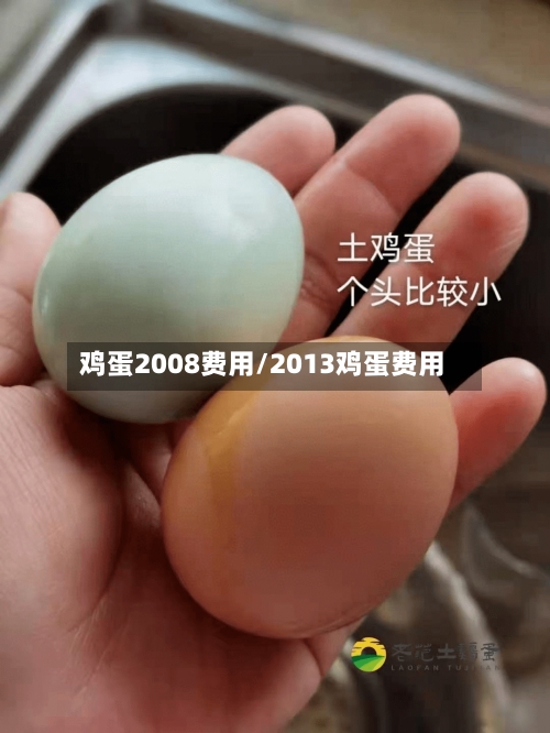 鸡蛋2008费用/2013鸡蛋费用-第2张图片