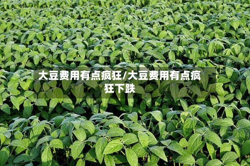 大豆费用有点疯狂/大豆费用有点疯狂下跌