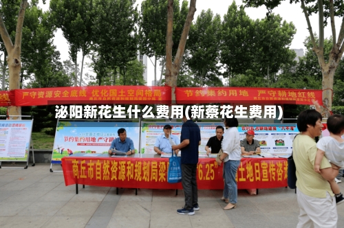 泌阳新花生什么费用(新蔡花生费用)-第2张图片