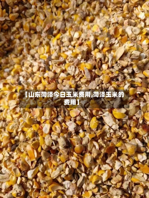 【山东菏泽今日玉米费用,菏泽玉米的费用】