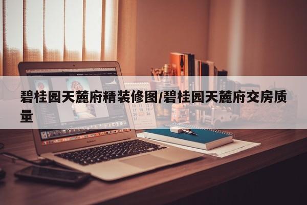 碧桂园天麓府精装修图/碧桂园天麓府交房质量