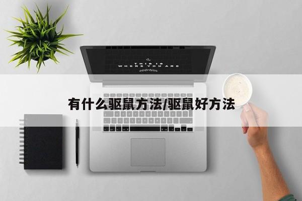 有什么驱鼠方法/驱鼠好方法