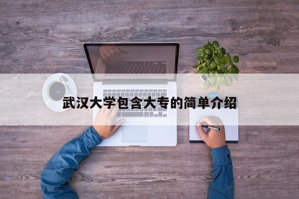 武汉大学包含大专的简单介绍